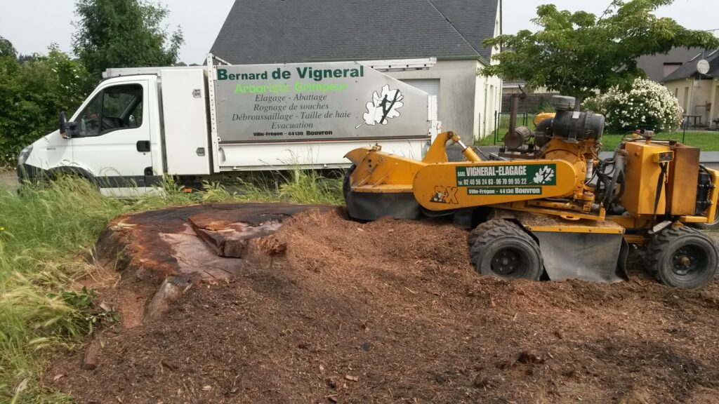 Vigneral Elagueur Bouvron 20160609 105756 1